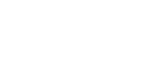 Hans Werner